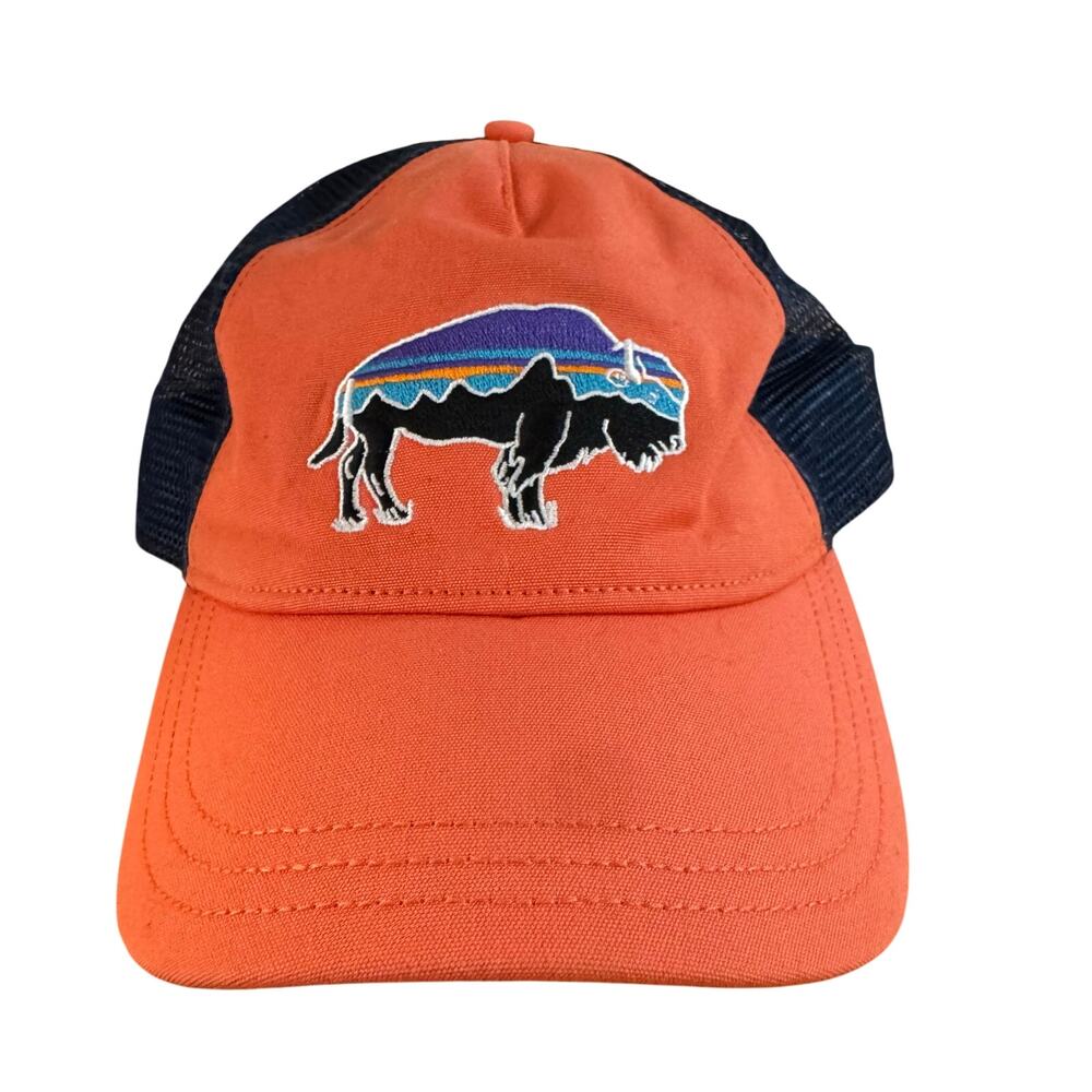 Patagonia Trucker Cap - Fitz Roy Bison Mesh Snap Back Hat